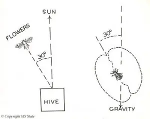 d932f71b4fcc7318919f237114a51209