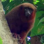 1d873a1534e6d76b24dfe446d0596930